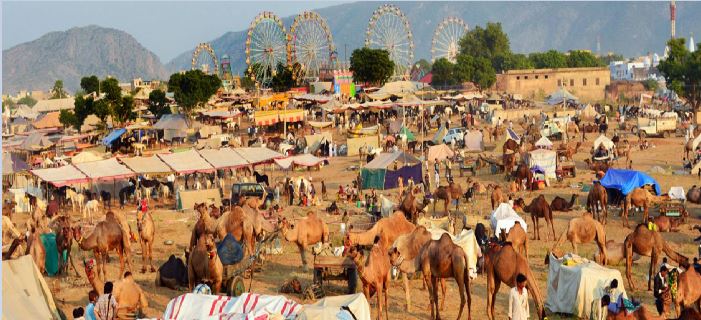 The Pushkar fair 