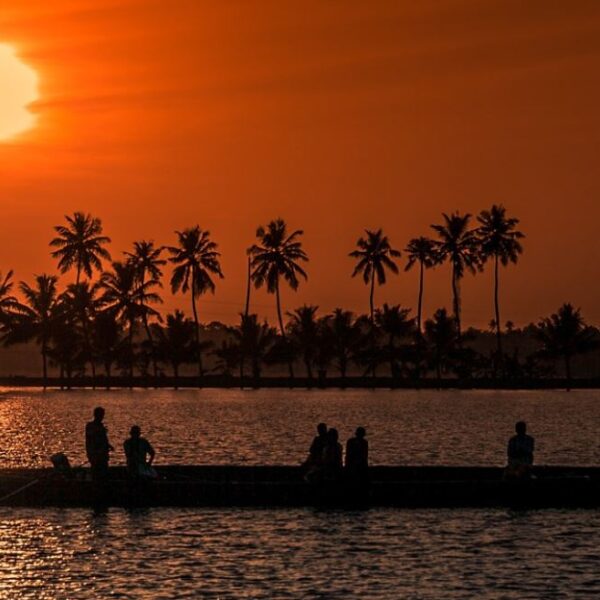 Kerala culture: Kumbalangi village tour