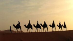 Itinerary for desert Tour in India