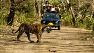 famous place to visit in Rajasthan Ranthambhore