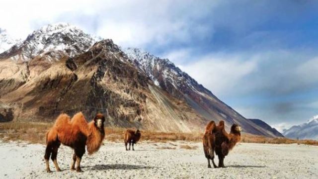 Tour in Kashmir India