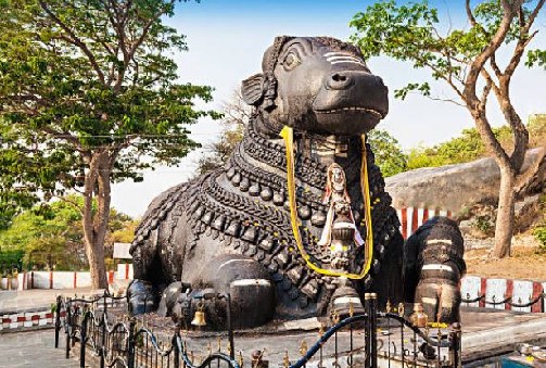 Hassan-Mysore (123 Km, 2 Hours 50 Minutes)
