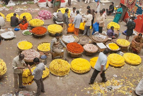 Mysore