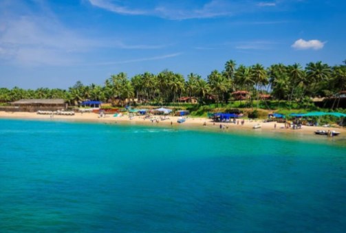 Arrive Goa
