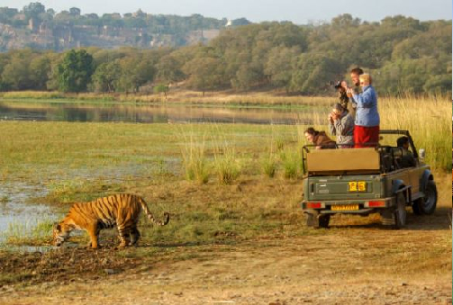 Ranthambore-Abhaneri-Bharatpur (203 km, 4 hours 45 minutes)