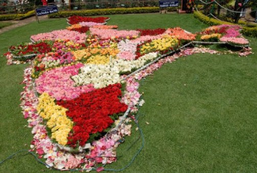 Ooty