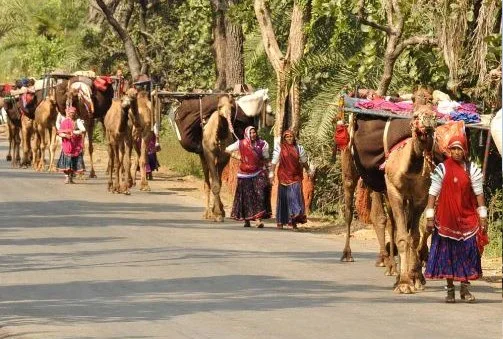 Jambughoda - Champaner -Ahmedabad (186 Km, 3 Hours 45 Minutes)