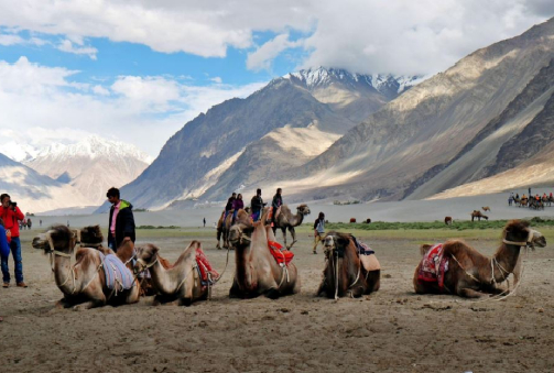 Nubra Valley Excursion (173 km / 4 hrs 40 min)
